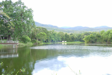 scenic of the mountain and the pond