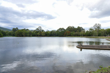 scenic of the pond in the park