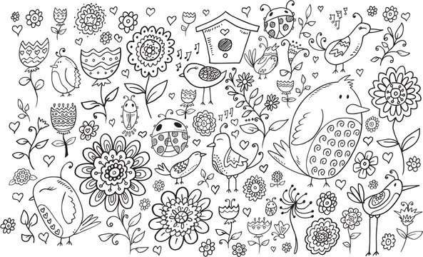Doodle Flowers and Birds Vector Set
