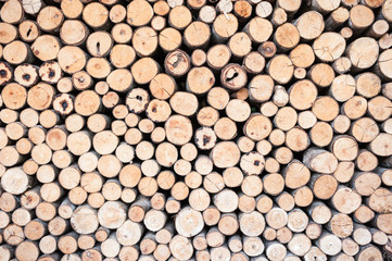 Texture of wooden in seamless wallpaper