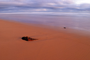 Fototapeta na wymiar beach scene with cloudy overcast shy, ocean and sandy beach