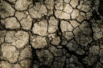 Cracked earth background