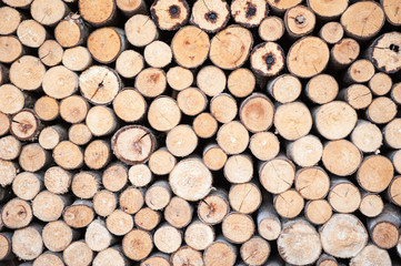 Texture of wooden in seamless wallpaper