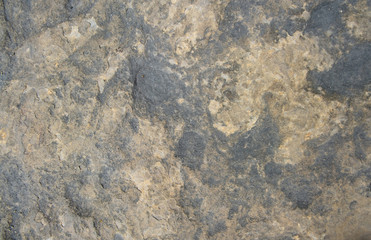 Texture of stone