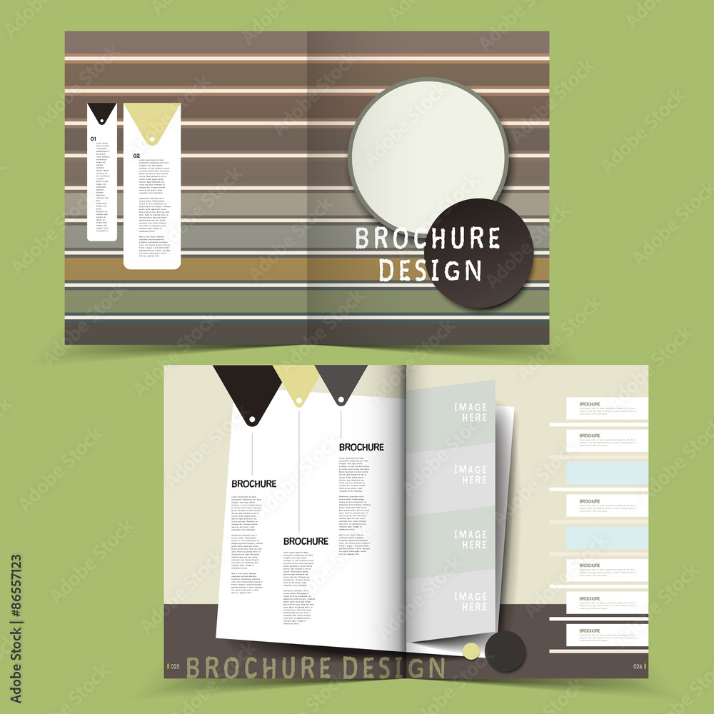 Wall mural vector brochure layout design template