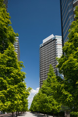 Obraz premium 高層マンション