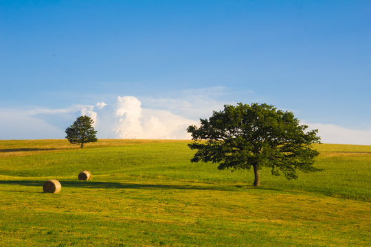 Paesaggio rurale estivo in umbria con rotoballe
