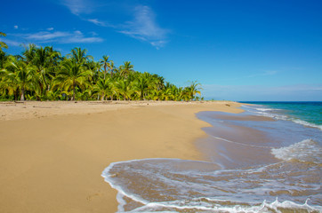 Caribbean beach of Costa Rica close to Puerto Viejo