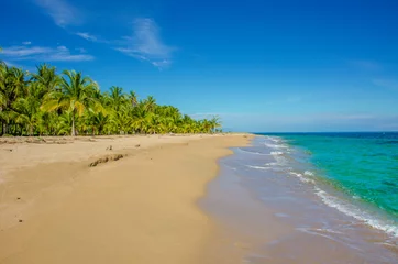 Gordijnen Caribbean beach of Costa Rica close to Puerto Viejo © Simon Dannhauer