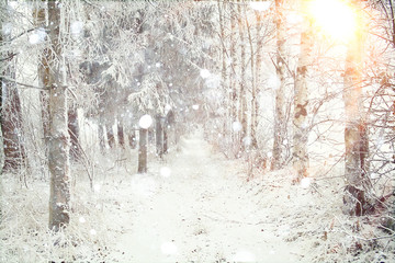 Snowy winter road in a field