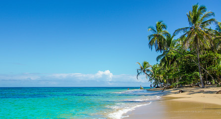 Karibischer Strand von Costa Rica in der Nähe von Puerto Viejo
