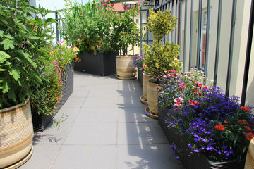 Beautiful modern terrace with mix of summer flowers