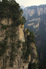 Fototapeta na wymiar Forest covered canyons in Zhangjiajie, China
