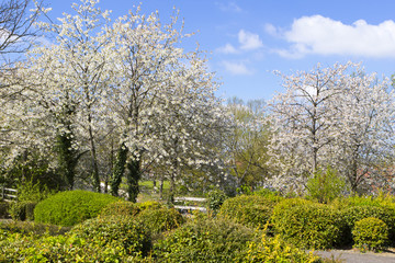 Fototapeta premium Beautiful spring landscape under blue sky