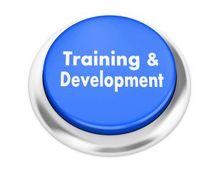Training & Development