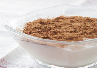 Rice pudding sprinkled with cinnamon powder in an individual glass bowl.

