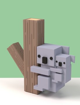 Koala family