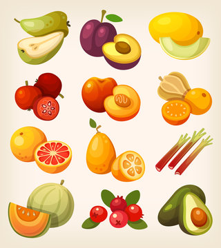 Exotic tropical, garden and field fruit. Icons for labels and packages or for learning kinds of fruit.