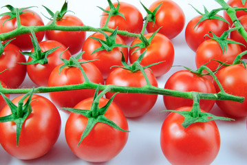 Viele Rispentomaten (Solanum lycopersicum) - vine tomatoes on white background 
