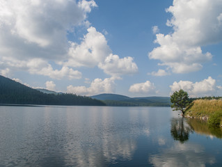 Summer lake landscape