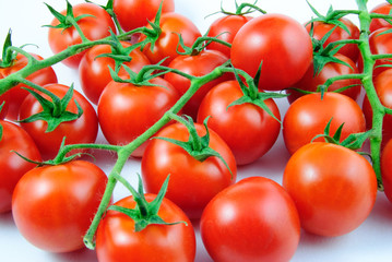 Viele Rispentomaten (Solanum lycopersicum) - vine tomatoes on white background 