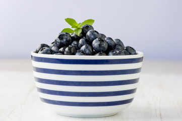 blueberry 