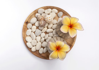 Fototapeta na wymiar Flower vase on wooden tray with white stone on white background