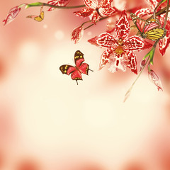 Floral background of tropical orchids, butterfly