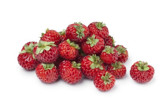 Straspberry 「Strasberry」の画像 - 24 件の Stock 写真、ベクターおよびビデオ | Adobe Stock