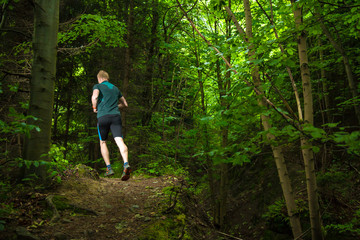 Fototapeta premium male trail runner training on the forest track in the evening