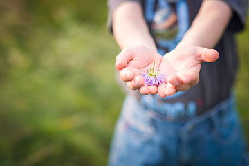 Little Boy Holding Flower