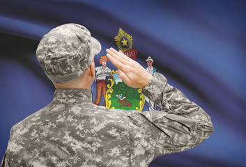 Soldier saluting to US state flag series - Maine