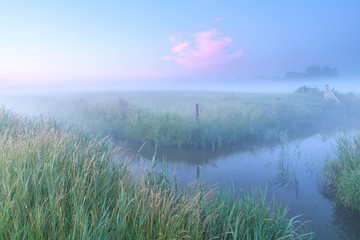 Dutch farmland with river in foggy morning