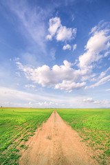 Blue sky and green grass field