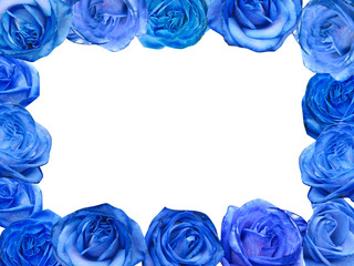 Blue roses frame