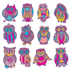Vector collection of cute colorful owls