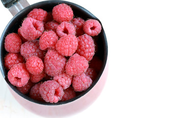 Himbeeren im Topf