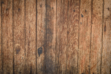 Texture of wood background closeup