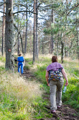 Obraz premium Mother and daughter walking in the woods on sunny spring day