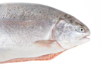 Part of trout