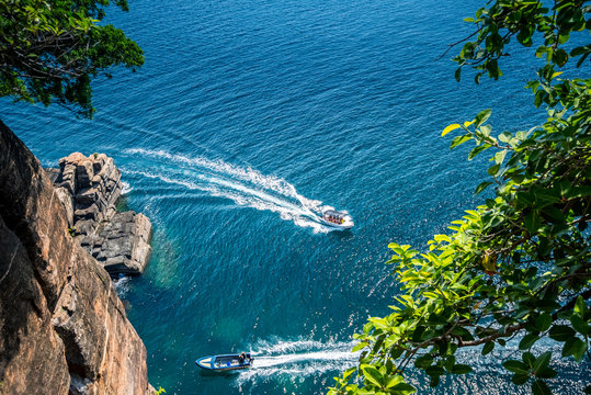 Whale and dolphin watching boats in the beautiful ocean