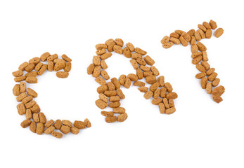 Obraz premium Food for cat
