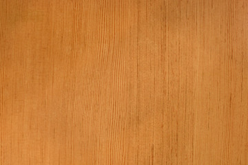 Obraz premium Texture of wood background closeup