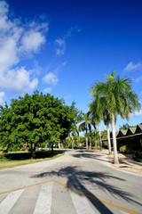 Caribbean street