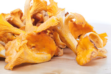 Chanterelles on table