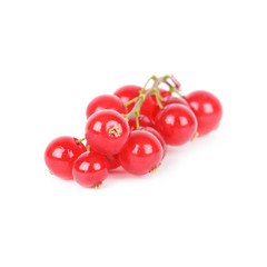 Red currant isolated on white