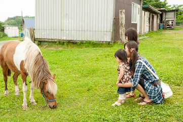 馬に近づく親子