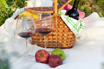 Outdoor picnic setting with red wine