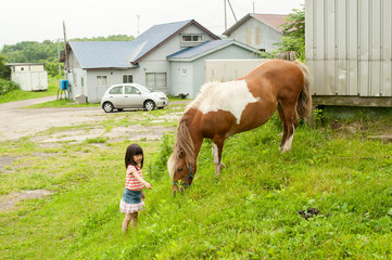 馬に近づく子供