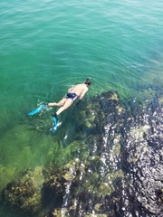 Nuotare in cerca di molluschi